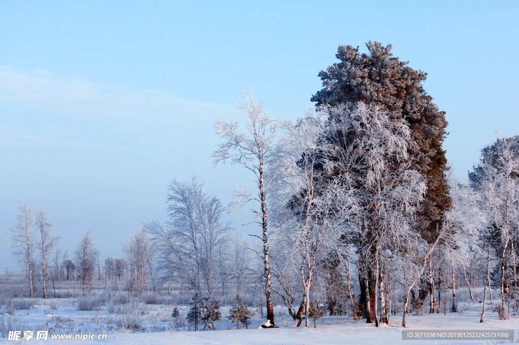 雪景