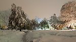 雪景