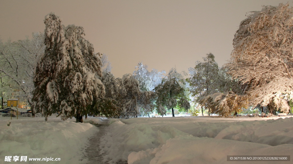 雪景