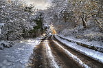 雪后道路