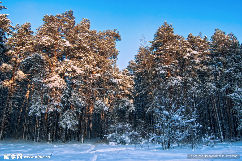 雪景