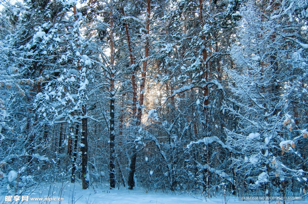雪景