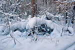 雪景