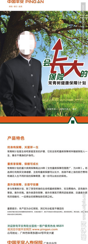 常青树展架
