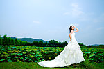 婚纱照