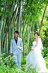 婚纱照