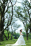 婚纱照