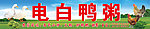 电白鸭粥
