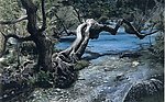 九寨沟风景