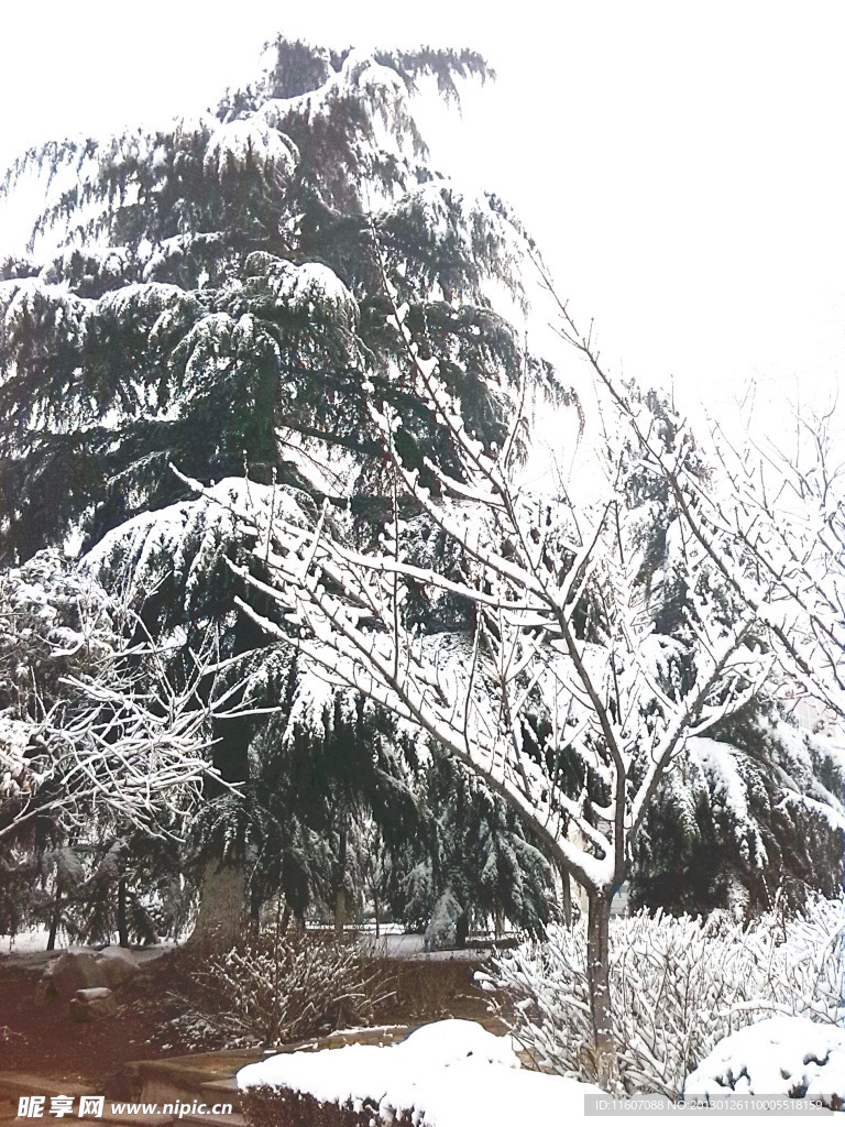 雪景图