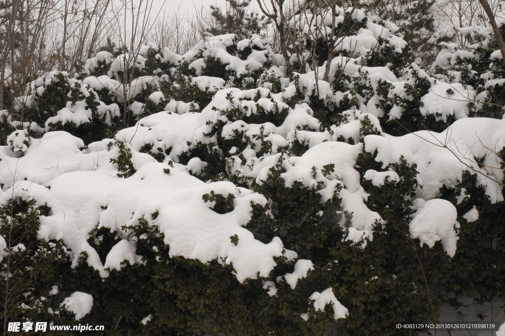 大雪