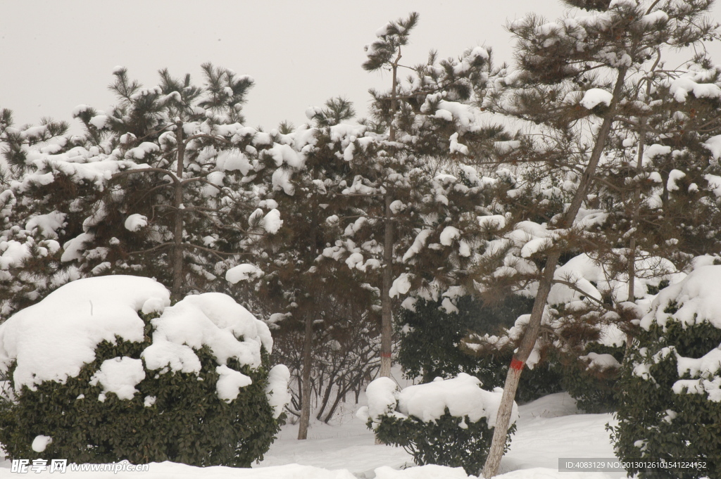 大雪