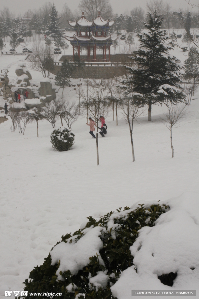 雪景