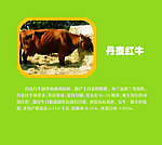 展板设计
