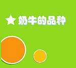 海报排版