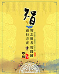智 文化展板