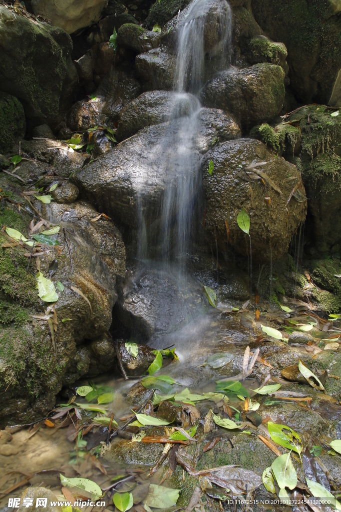 水流 树叶