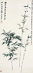 青竹