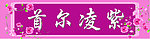首尔凌紫
