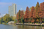 东山湖公园