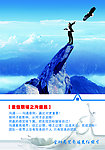 职场 企业文化