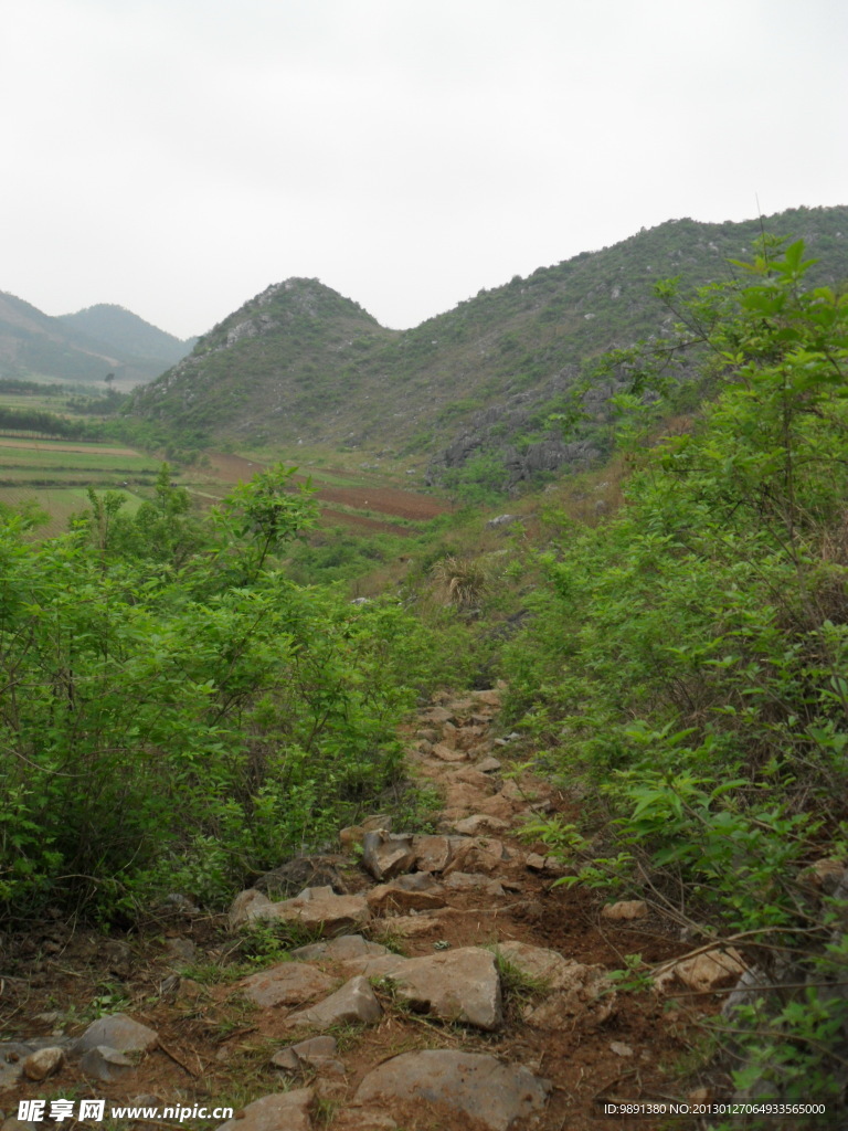 山间小路