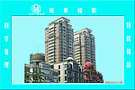会议室公司业绩牌