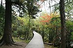 香格里拉