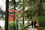 香格里拉