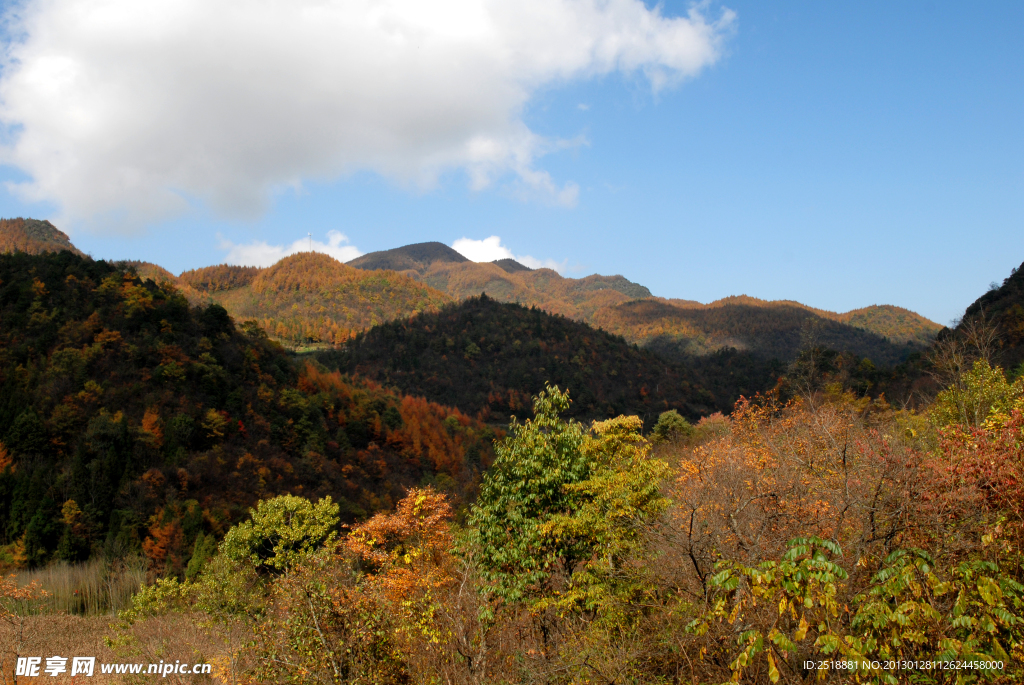 建始县高坪镇长岭岗林场