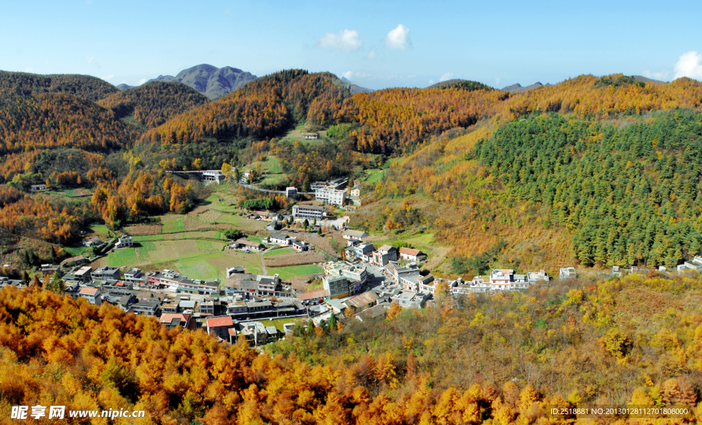 长岭岗林场