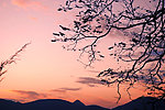 长岭岗风景