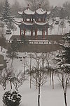 大雪