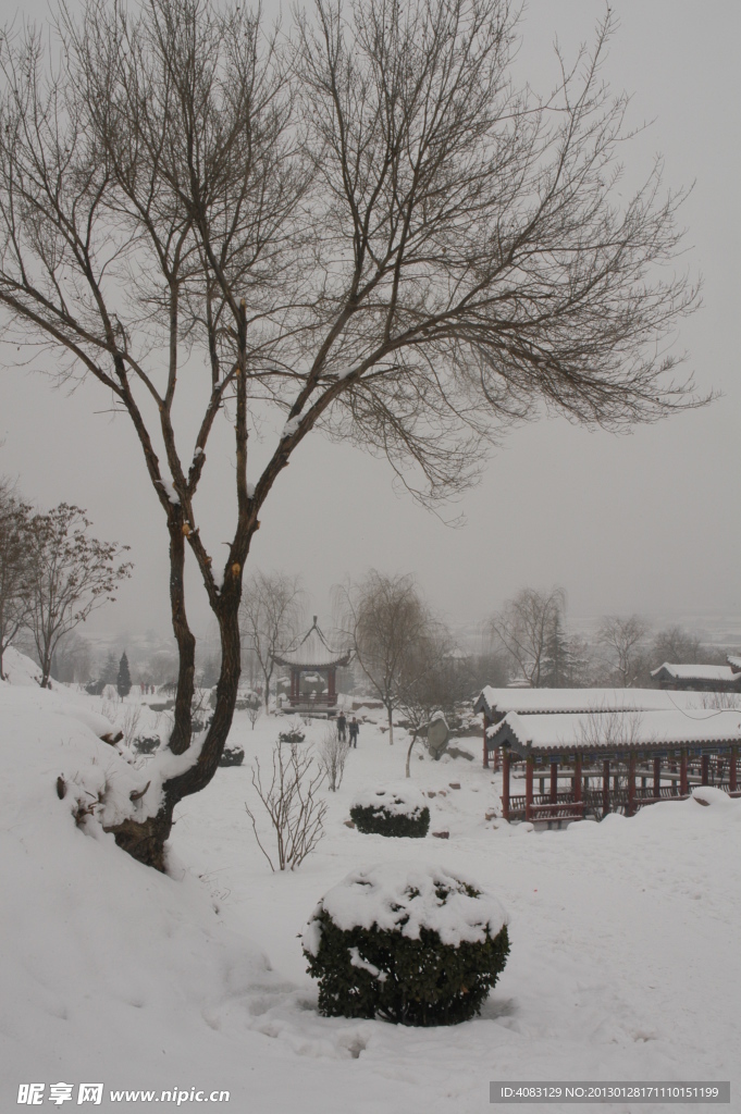 雪景