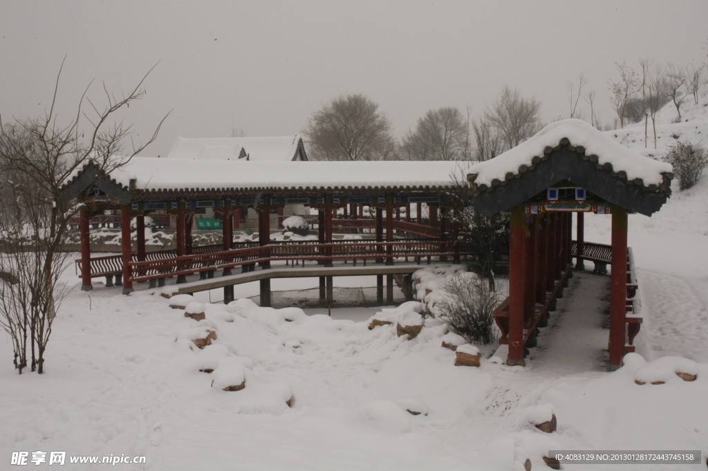 雪景