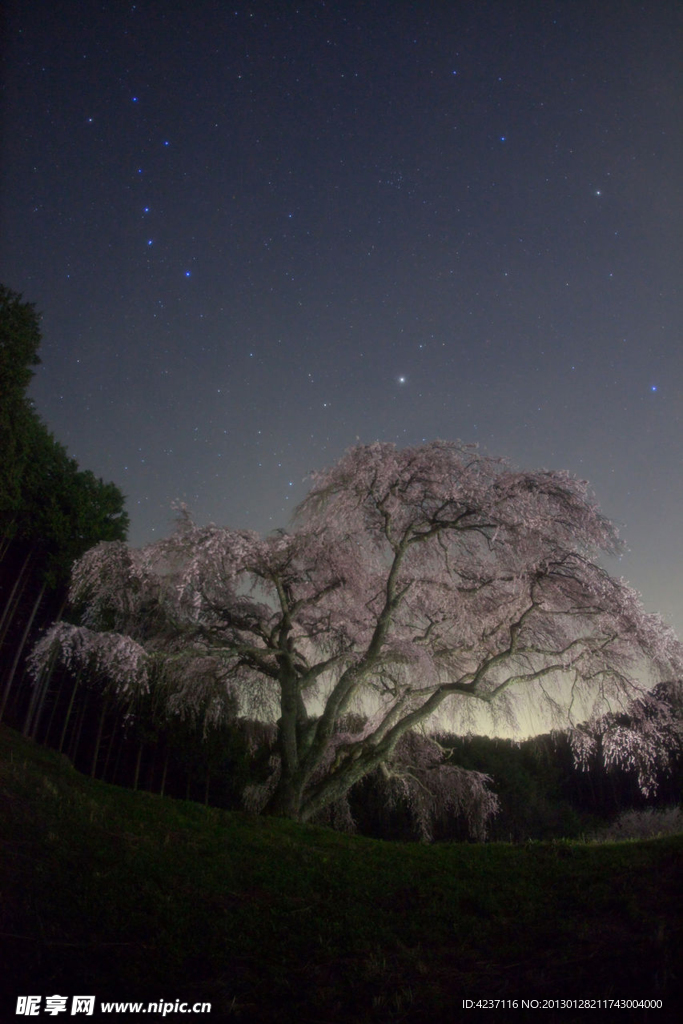 星辰