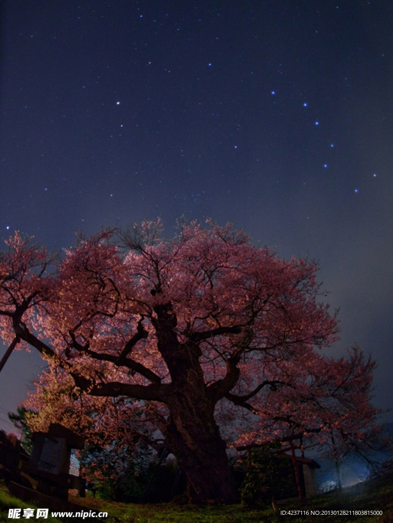 星辰