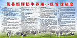 奶牛养殖