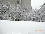 雪景