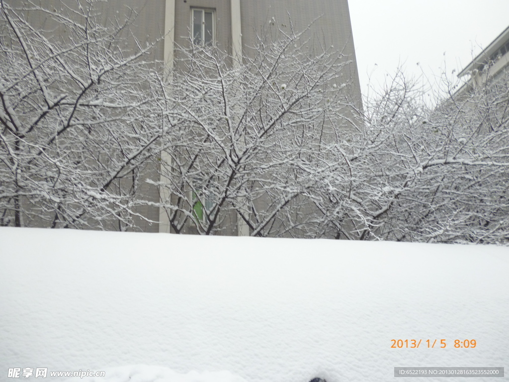 雪景