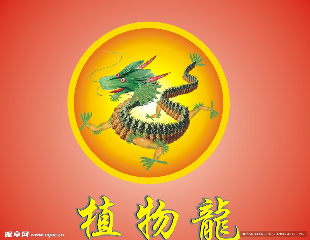 植物龙