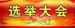 选举大会