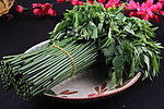 五指山野菜