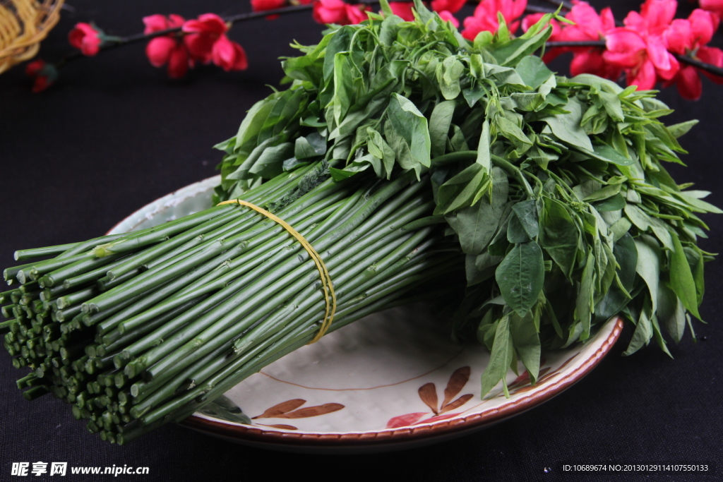 五指山野菜