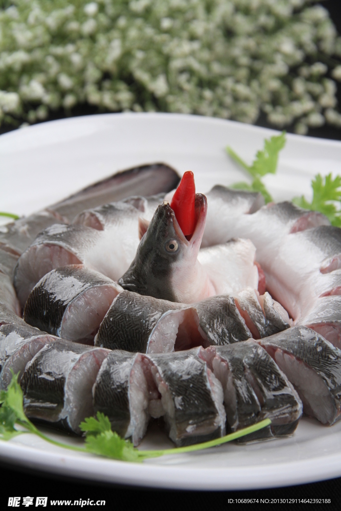 生上鳝鱼