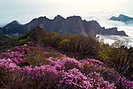 满山红 山峰 美丽风景