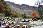 广元唐家河
