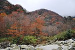 广元唐家河