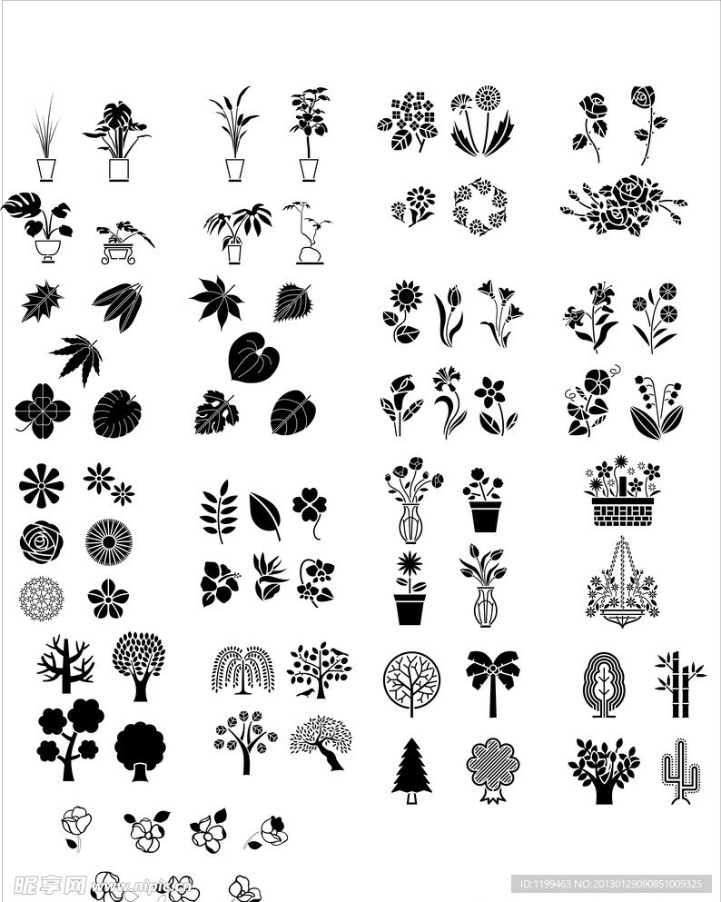 植物图案