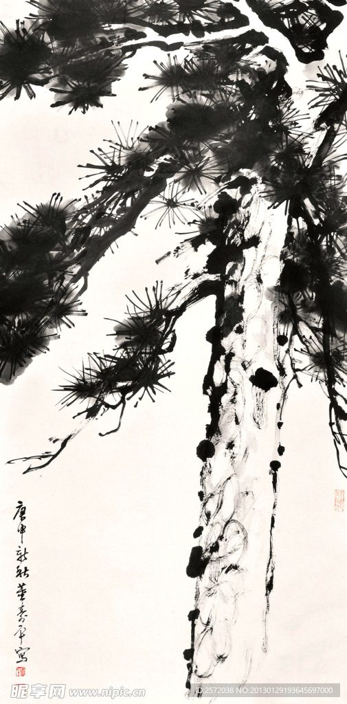 苍松